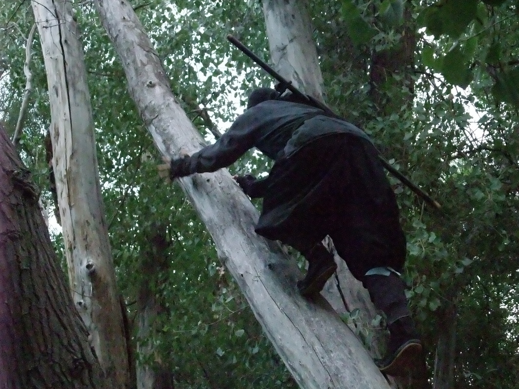 Training photo